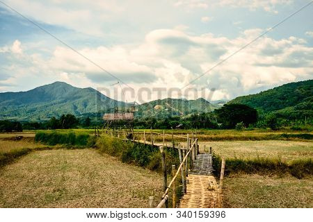 Thai Bamboo Walking Path And Bridge With Beautiful Sky And Forrest Background