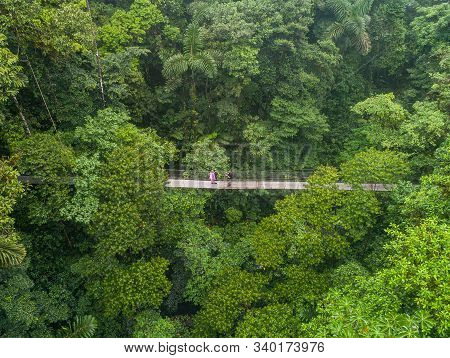 Couple Walking Over Mystico Hanging Bridges At La Fortuna Rainforest Aerial Drone View In Costa Rica