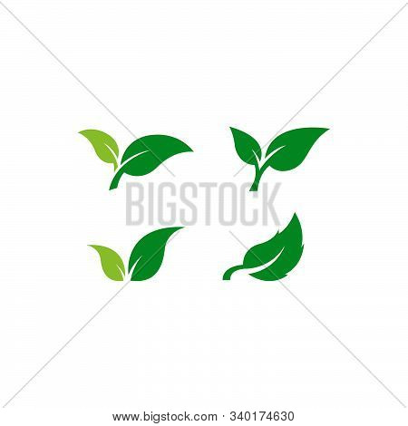 Set Of Green Leaf Icon. Eco Symbol Vector Illustration