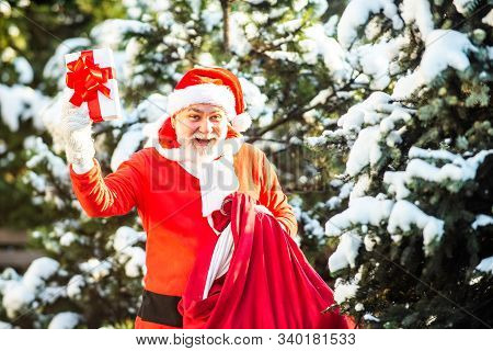 Merry Christmas And Happy Holidays. Delivery Christmas Gifts. Winter Park Trees Covered With Snow. W