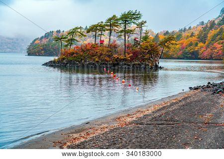 Autumn Landscape Of Lake Towada In Raining Day With The Colorful Foliage At The Forest In The Town O