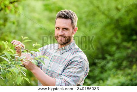 Sexy Farmer Cut Flowers With Pliers. Farming And Agriculture Cultivation. Garden Tools. Eco Farm Wor