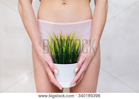 Depilation In The Bikini Zone Concept. A Woman Holding A Potted Bush In Her Hand Staying In Light Pi