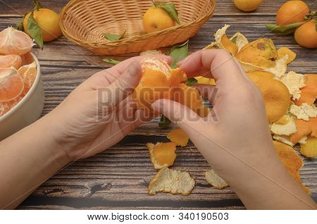 The Girls Hands Are Cleaning Tangerine, Tangerines On A Twig With Green Leaves, Peeled Tangerines In