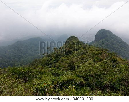 View From The Tijuca Forest: The Tijuca National Park Covers The Urban Area Of Rio De Janeiro With G