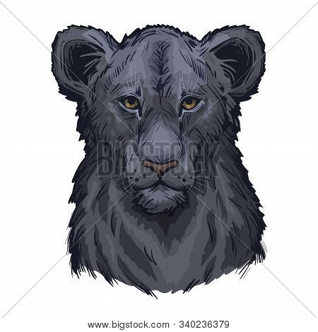 Panthera Leo Vector Baby Tabby Portrait In Closeup. Mammal With Black Furry Coat Feline Animal. Pred