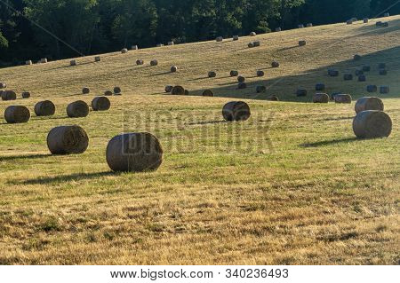 Summer Landscape Along The Road To Camigliatello Silano, Cosenza, Calabria, Italy, In The Sila Natur