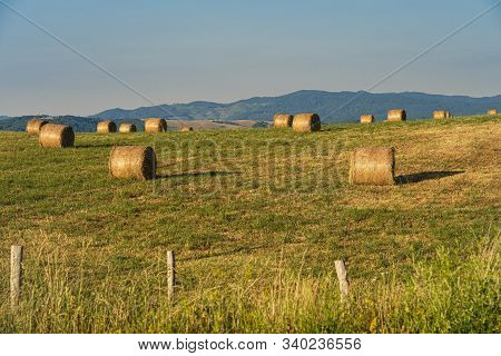 Summer Landscape Along The Road To Camigliatello Silano, Cosenza, Calabria, Italy, In The Sila Natur