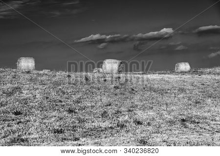 Summer Landscape Along The Road To Camigliatello Silano, Cosenza, Calabria, Italy, In The Sila Natur