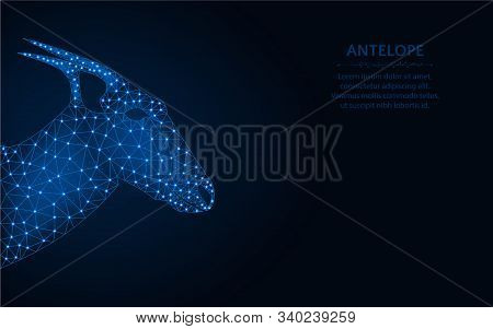 Antelope Low Poly Design, Animal Wireframe Mesh Polygonal Vector Illustration Made From Points And L