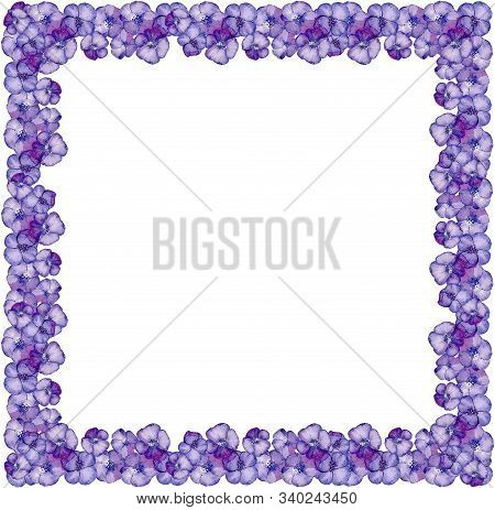 Square Frame Of Purple Watercolor Flowers On White Background.