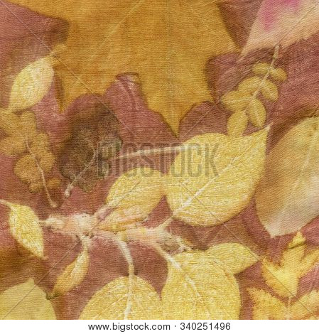 Seamless Botanical Print With Leaf Prints On Natural Silk. Hand-drawn Illustration.