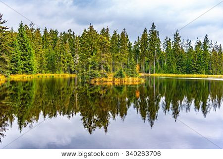 Trees Reflected In The Pond. Kladska Peat Bog National Reserve Near Marianske Lazne, Czech Republic