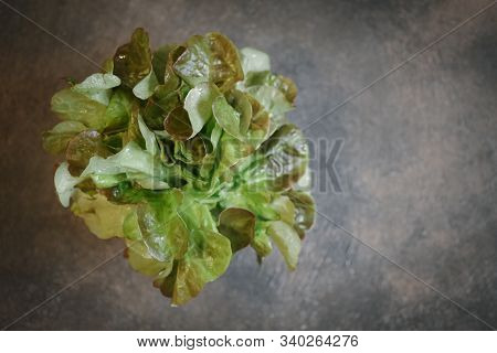 Green Chilli Peppers On A Dark Background With Copy Space