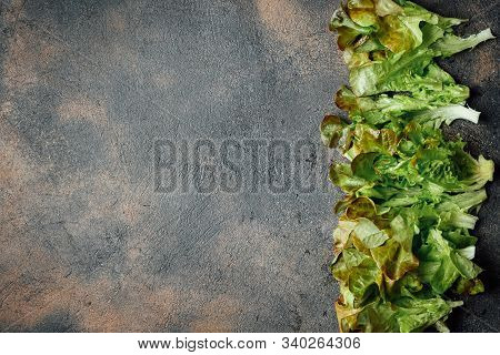Green Chilli Peppers On A Dark Background With Copy Space