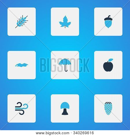 Seasonal Icons Colored Set With Apple, Puddle, Pine Cone And Other Cedar Elements. Isolated Vector I