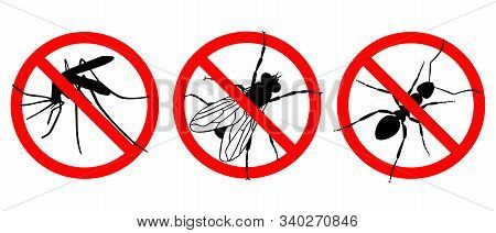 Warning Sign No Insects. Prohibited Sign. Set Icons: No Mosquitoes; No Ants, No Flies. Symbol For In