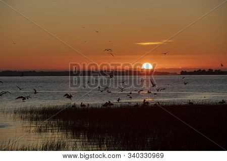 Charleston, South Carolina, United States, November 2019, Sunrise Over Charleston Harbour Bay Lookin