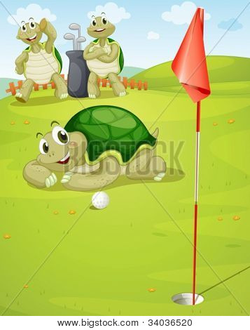 golf golf zeminde oynamak Kaplumbağa resmi