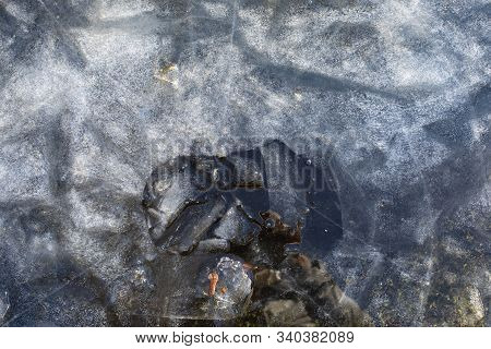 Thin Ice On The Pond, Broken Ice Edge And Dark Water. Winter Texture Background Wallpaper Backdrop. 