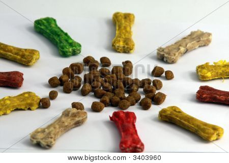 Cat\Dog Essen