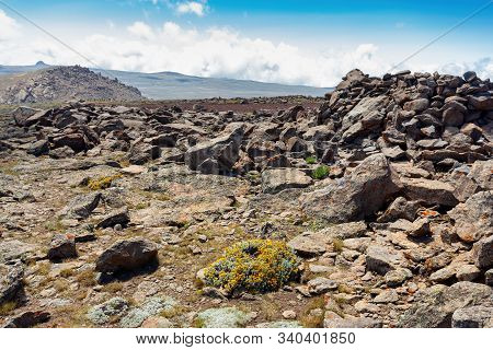 View From Top Of Ethiopian Bale Mountains National Park. Wilderness Pure Nature Landscape, Sunny Day