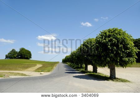 Road And Nature