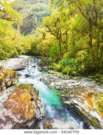 Szakadék (Fiordland, South Island, Új-Zéland)