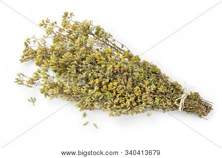 Bouquet of dried greek oregano, Origanum vulgare hirtum, isolated on white background