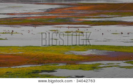 Paesaggi estivi colorati in un ambiente di spartiacque