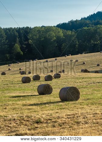 Summer Landscape Along The Road To Camigliatello Silano, Cosenza, Calabria, Italy, In The Sila Natur