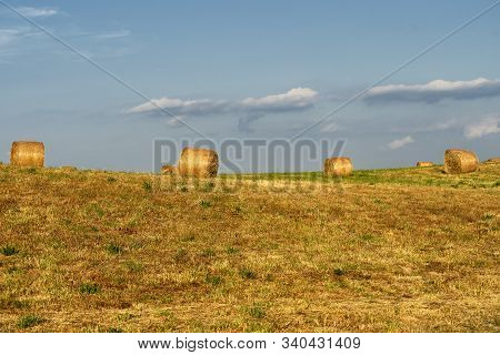 Summer Landscape Along The Road To Camigliatello Silano, Cosenza, Calabria, Italy, In The Sila Natur