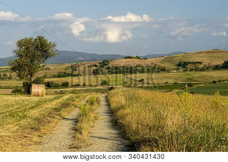 Summer Landscape Along The Road To Camigliatello Silano, Cosenza, Calabria, Italy, In The Sila Natur