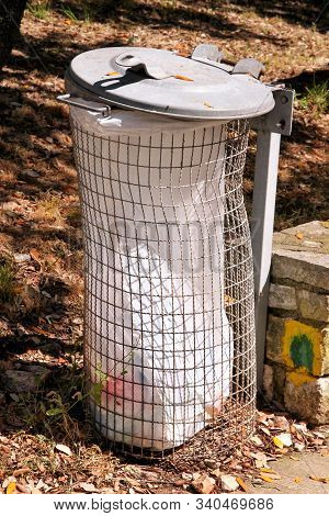 Trash Can And Recycling Bin In Park Natural Outdoor On Sunny Day. Garbage Recycle Can And Trash Bin 
