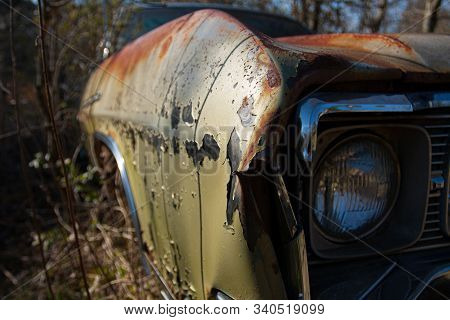 An Abandoned Rusted Out Car In The Woods.