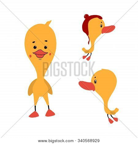 Duck Cartoon Vector Set. Illustration. Isolated On White Background