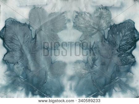 Ecoprint Leaves. Imprint Of A Real Plant On Paper.  Blue Vintage Background