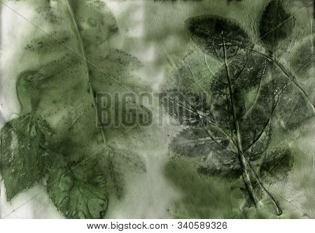 Ecoprint Leaves. Imprint Of A Real Plant On Paper. Vintage Background.
