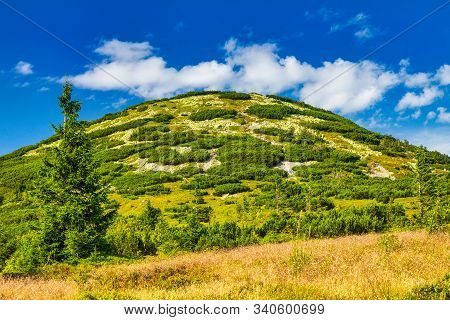 The Chleb, Hill In The Lesser Fatra. Mountainous Landscape With A Tree In The Foreground. The Mala F