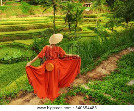 Woman walking on Tegalalang Rice Terrace, Bali
