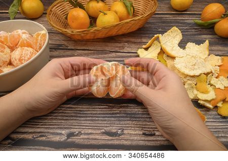 The Girls Hands Are Cleaning Tangerine, Tangerines On A Twig With Green Leaves, Peeled Tangerines In