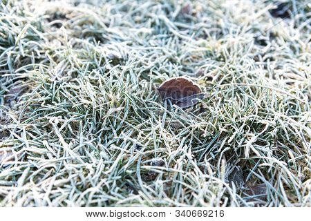 Wintery Texture Of Grass And Ice In A Sunny Day