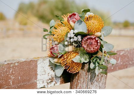 Luxury Wedding Bouquet With Pink And Orange Protea Flowers Outdoors, Copy Space. Greeting Card For V