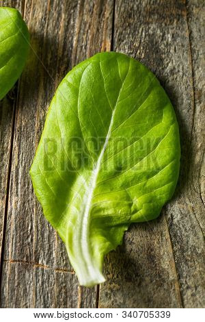 Raw Green Organic Butter Lettuce