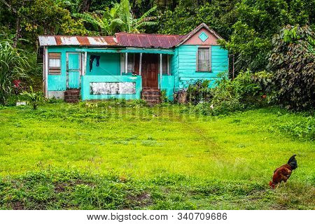 Modest Old Country House With Rusty Zinc Roof. Small Dwelling In The Rural Countryside With Lush Gre