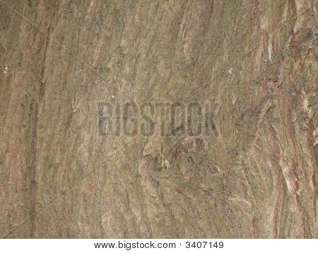 Holz Oberfläche