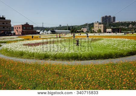 Daxi, Taiwan - November 15th, 2019: tourists walk at the garden in Daxi event of Taoyuan Flower Festival in Taoyuan, Taiwan, Asia
