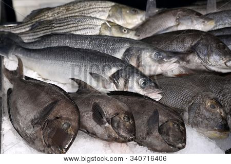 Different Types Of Fresh Fish On Ice In Supermarket