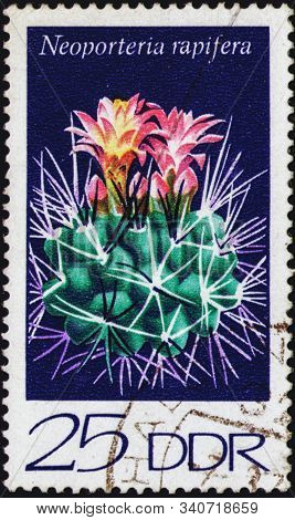 Saint Petersburg, Russia - December 19, 2019: Postage Stamp Issued In The German Democratic Republic