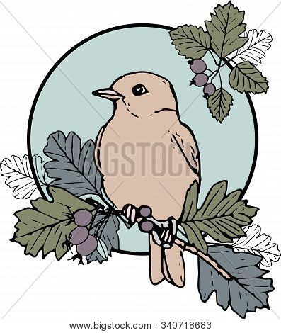 Cute Hand-drawn Illustration With Bird On A Branch
